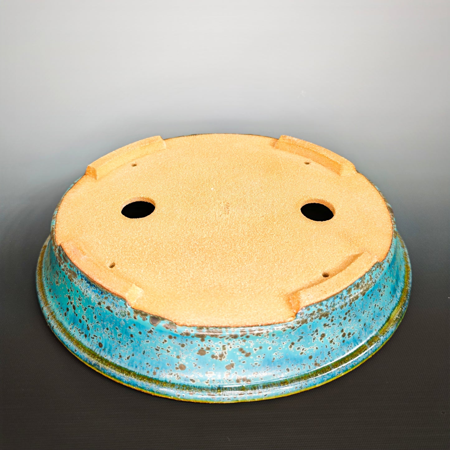 Shallow Oval No.1