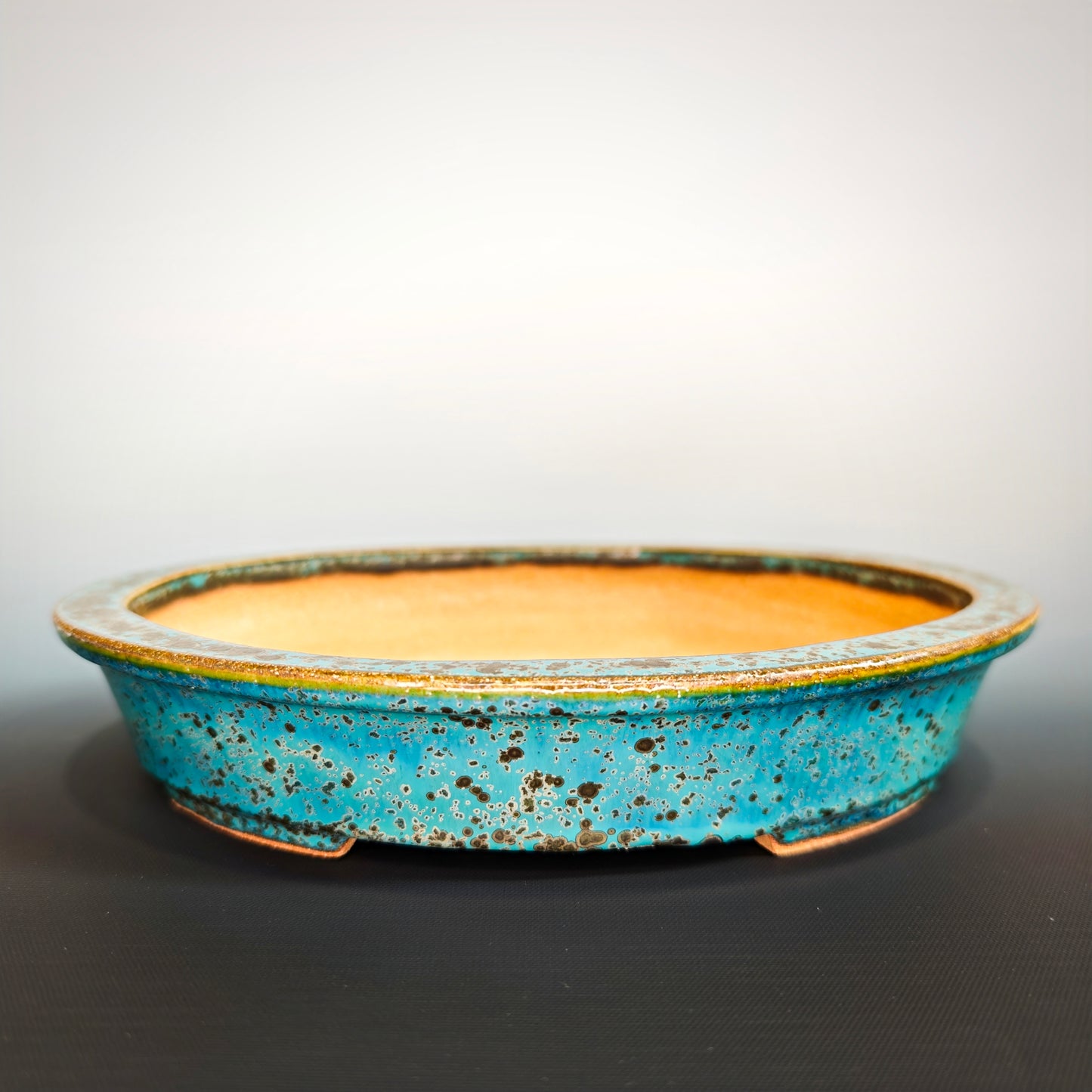 Shallow Oval No.1