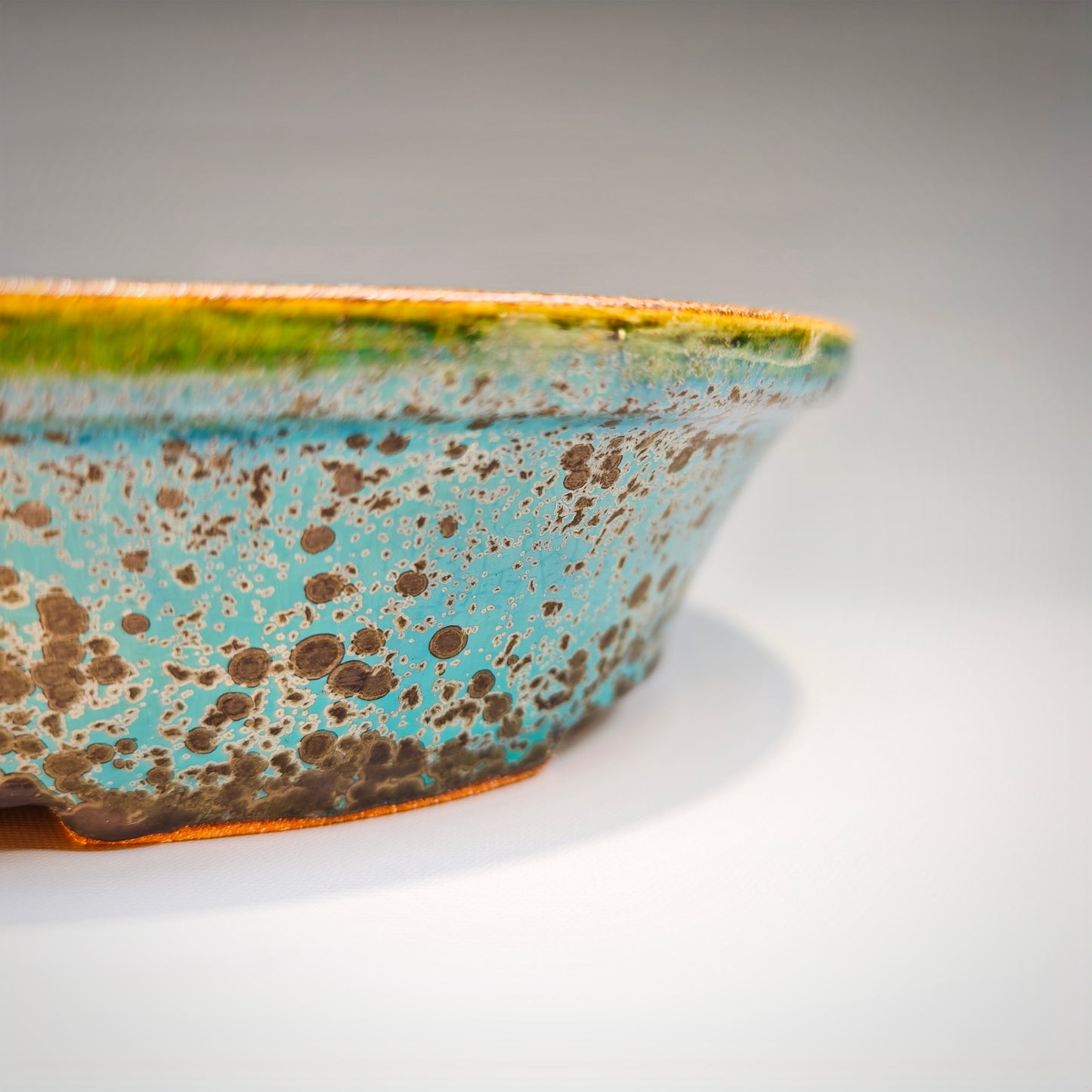 First Edition Large Oval