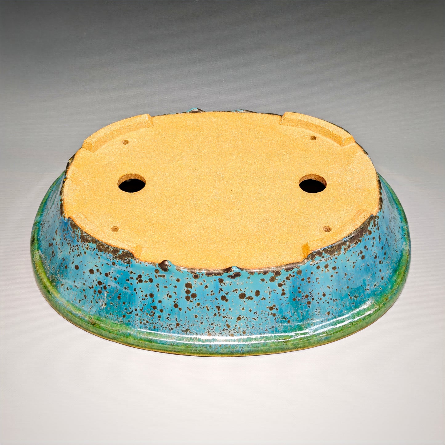 Seventh Edition Large Oval