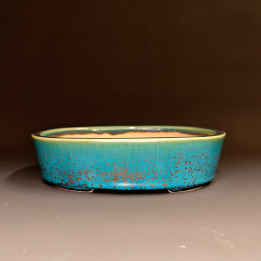 Medium Oval (Rec) No.2