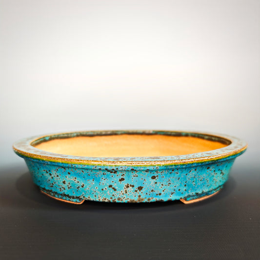 Shallow Oval No.1
