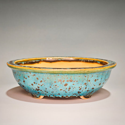 Medium Oval No.1