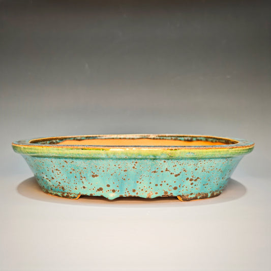 Seventh Edition Large Oval