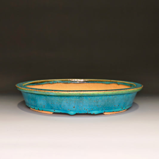 Shallow Oval No.5
