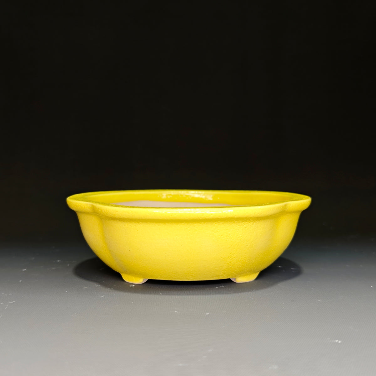 Medium Mokko No.12