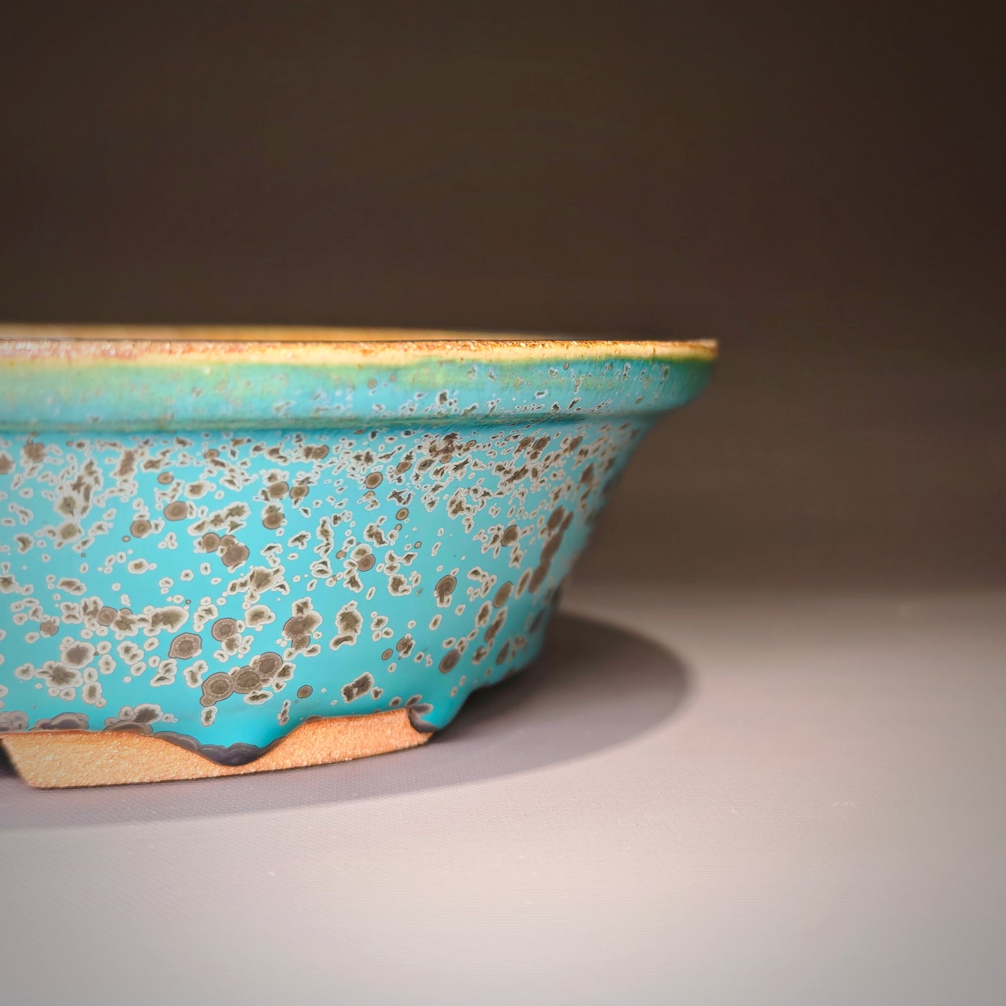Large Oval No.7