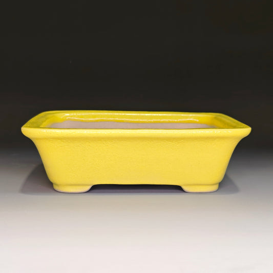 Shohin Rectangle No.3