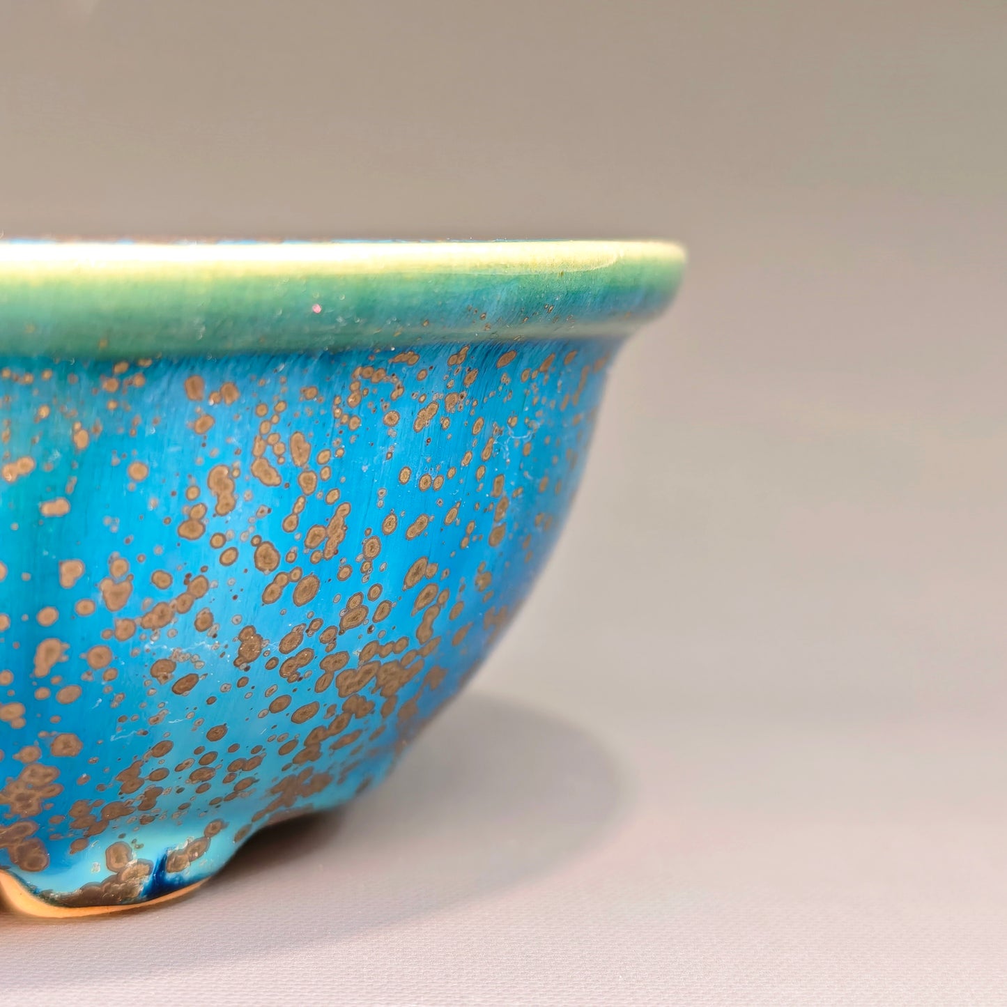 Medium Oval No.5