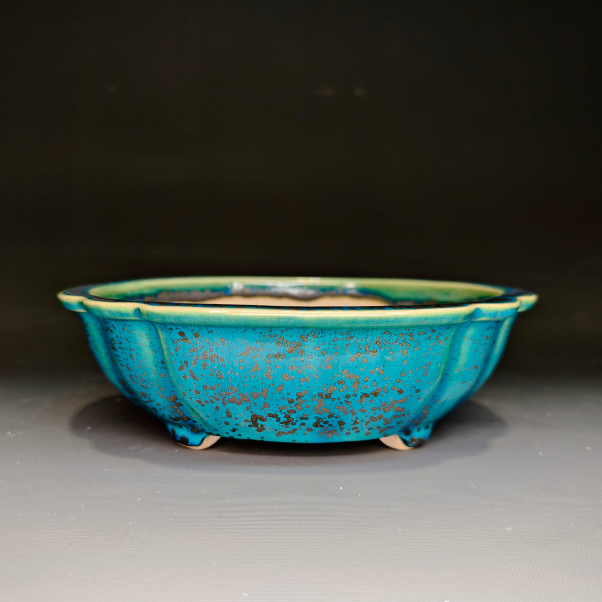 Medium Mokko No.12