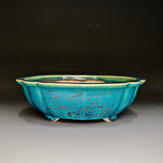 Medium Mokko No.12