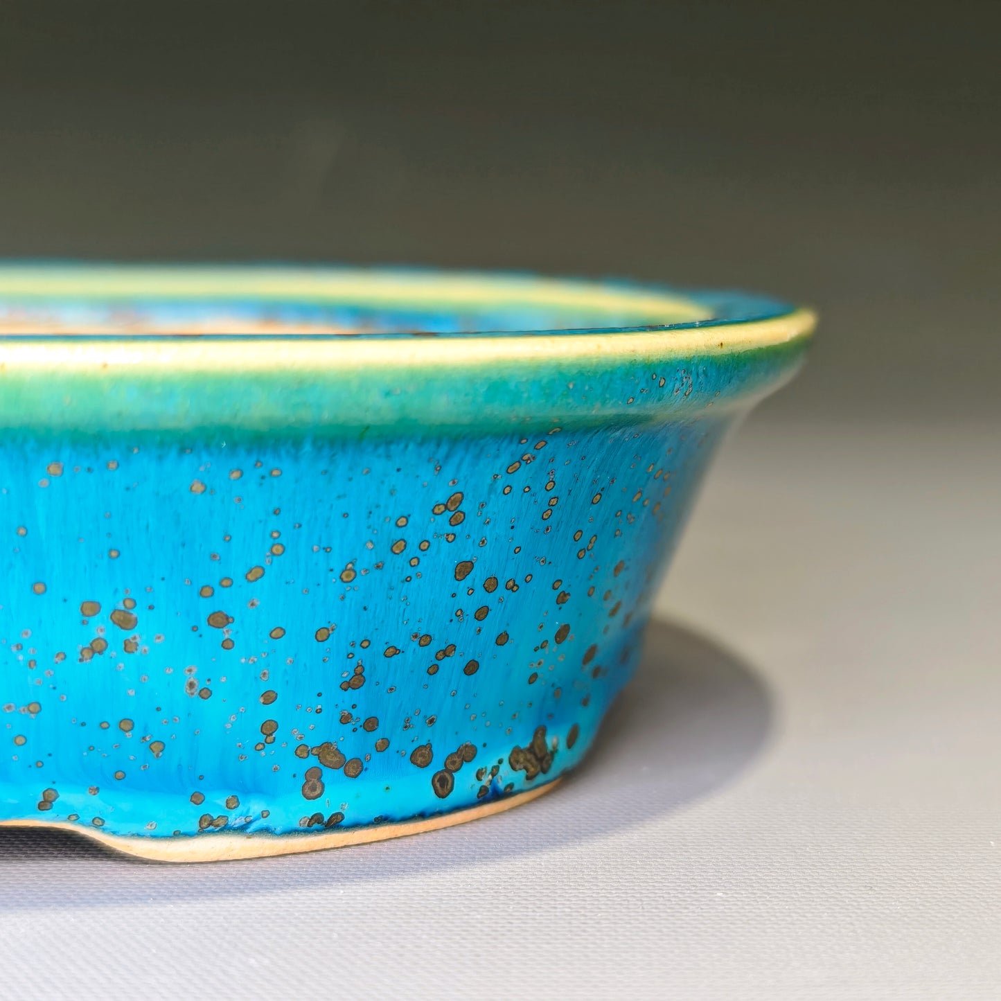 Small Oval No.5