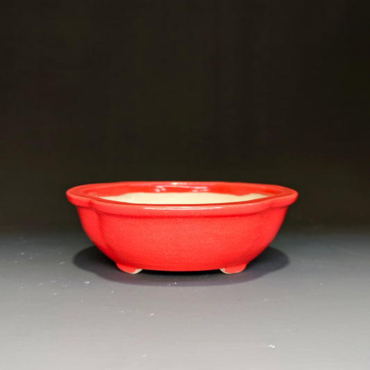 Medium Mokko No.13