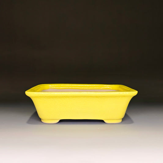 Shohin Rectangle No.3