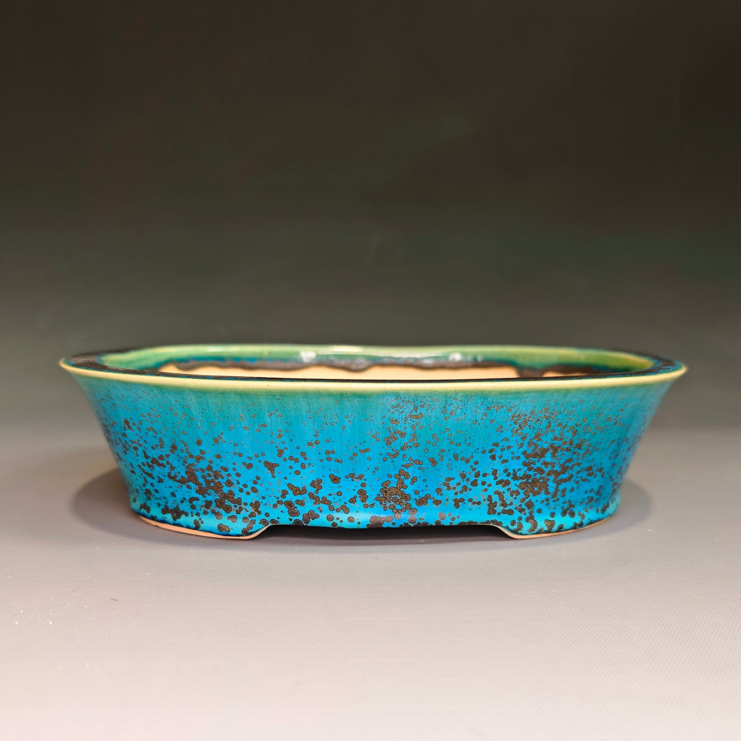 Large Oval No.5